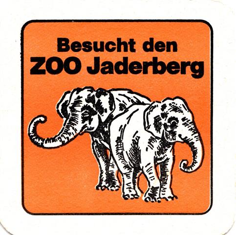 jade bra-ni tierpark jaderberg 1ab (quad185-besucht den-schwarzrot)